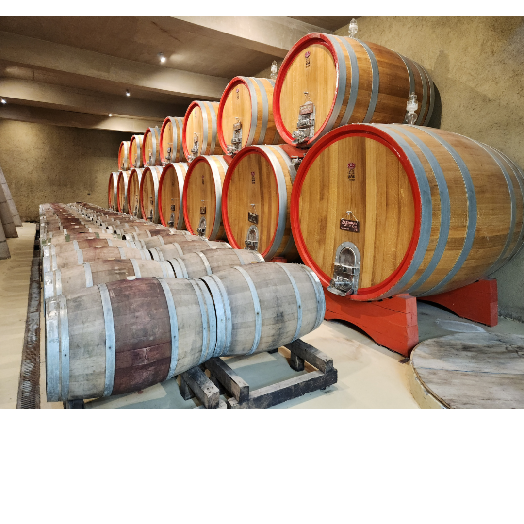 VIÑAS DE CASABLANCA